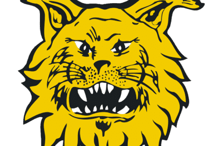 Ilves logo favicon 631px