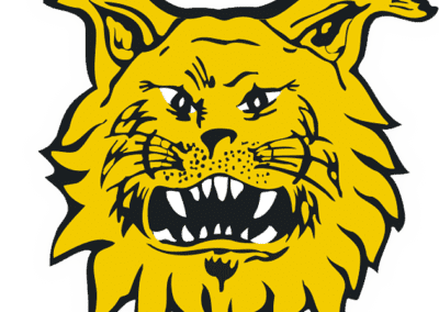 Ilves logo valkovarjolla 631px