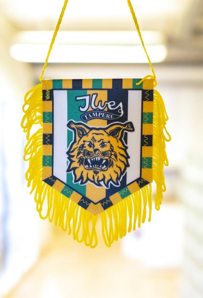 Ilves viiri